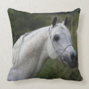 Buscar caballos árabes cojines Headshot