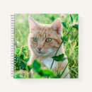 Buscar gato de ojos verdes cuadernos 9 º gata