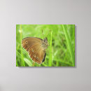 Buscar manchas lienzos Naturaleza