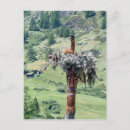 Buscar troncos de árbol postales Árboles