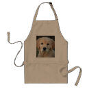 Buscar golden retriever delantales Perrito