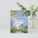 Buscar apocalipsis postales Escritura