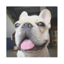 Buscar french bulldog arte Purebred dog