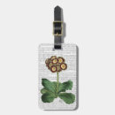 Buscar primula Contemporáneo