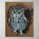 Buscar owl arte Aves