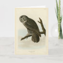 Buscar cínicas tarjetas Pájaro