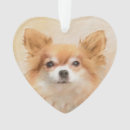 Buscar capa mascotas 2 º capa