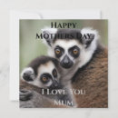 Buscar primate tarjetas Para ella