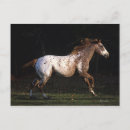 Buscar equestrian postales Appaloosa