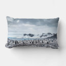 Buscar penguin cojines Invierno