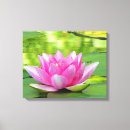 Buscar lotus lienzos Lirio de agua