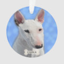 Buscar bull terrier adornos Animales