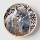 Buscar capybara arte Roedor