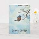 Buscar bird tarjetas Pájaro bonito