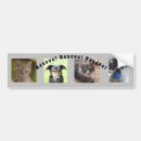 Buscar rescates pegatinas parachoque Animal