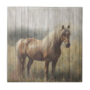 Buscar caballos azulejos Animal