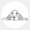 Buscar perro blanco y negro pegatinas Para mascotas