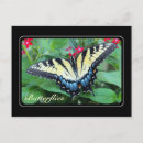 Buscar mariposa amarilla postales Negro