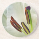 Buscar oriental posavasos Floral