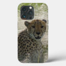 Buscar cheetah iphone fundas Chita