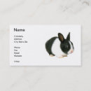 Buscar conejito tarjetas de visita Veterinario