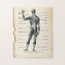 Buscar anatomía puzzles Vintage