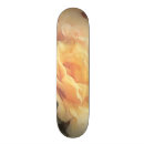 Buscar envejecido tablas de skate Antiguo