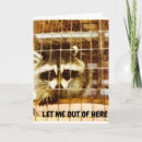 Buscar familia del mapache tarjetas General y unisex