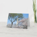 Buscar washington tarjetas Flor