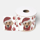 Buscar labrador retriever cintas Navidad
