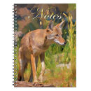 Buscar latrans del canis Vida silvestre