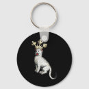 Buscar rally llaveros Rally de kamala