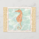 Buscar seahorse postales Vida marina