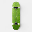 Buscar álamo tablas de skate Naturaleza