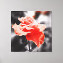 Buscar rosas románticos lienzos Jardín