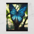 Buscar mariposa azul postales Ilustracion