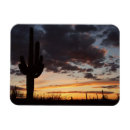 Buscar cactus del saguaro imanes Naturaleza