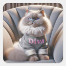 Buscar himalaya pegatinas Gatito