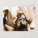 Buscar susto postales Araña