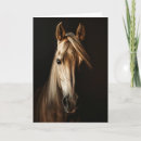 Buscar caballo fotografía Amante de los caballos