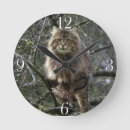 Buscar maine coon relojes de pared Para todos