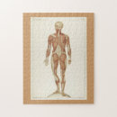 Buscar anatomía puzzles Vintage