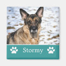 Buscar turquesa imanes Foto