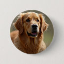 Buscar golden retriever chapas Recuperador