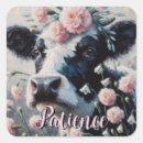 Buscar vaca holstein pegatinas 1 ᵉʳ explotación