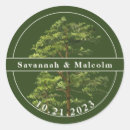 Buscar naturalez pegatinas Árbol
