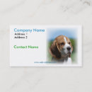 Buscar beagles tarjetas de visita Animal