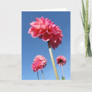 Buscar flores altas tarjetas Rojo