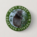 Buscar koala chapas Australia