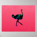 Buscar ostriches posters General y unisex